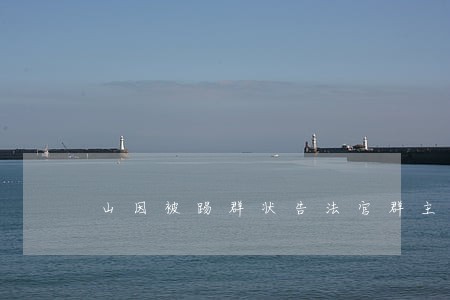 山因被踢群状告法官群主