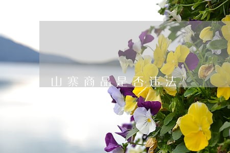 山寨商品是否违法 山寨商品是否违法