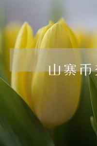 山寨币交易是违法的吗 山寨币交易是违法的吗