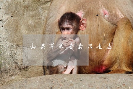 山寨苹果专卖店违法 山寨苹果专卖店违法