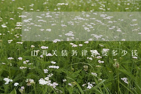 山海关债务律师要多少钱 山海关债务律师要多少钱