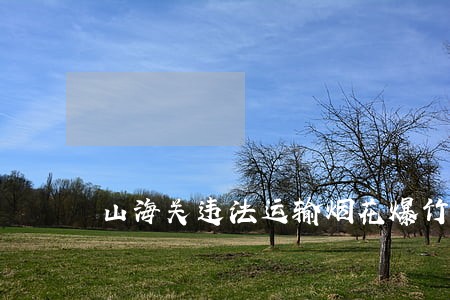 山海关违法运输烟花爆竹