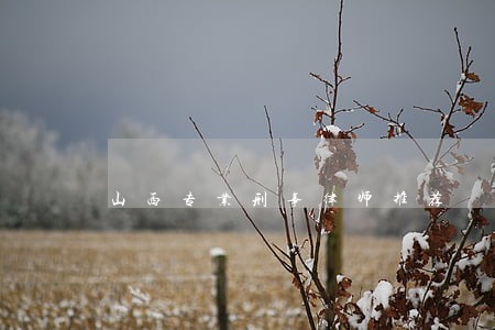 山西专业刑事律师推荐 山西专业刑事律师推荐