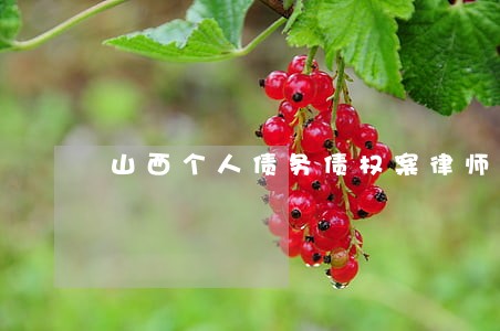 山西个人债务债权案律师 山西个人债务债权案律师