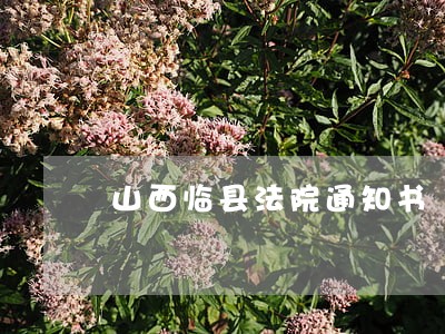 山西临县法院通知书 山西临县法院通知书