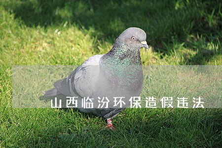 山西临汾环保造假违法 山西临汾环保造假违法