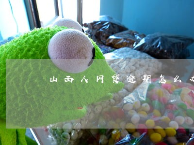 山西人网贷逾期怎么办