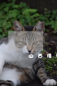 山西债务合同案律师哪个好 山西债务合同案律师哪个好