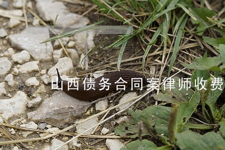 山西债务合同案律师收费 山西债务合同案律师收费