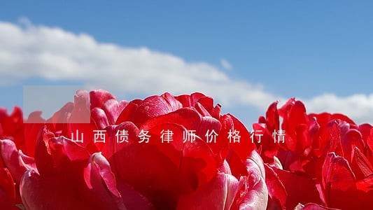 山西债务律师价格行情 山西债务律师价格行情
