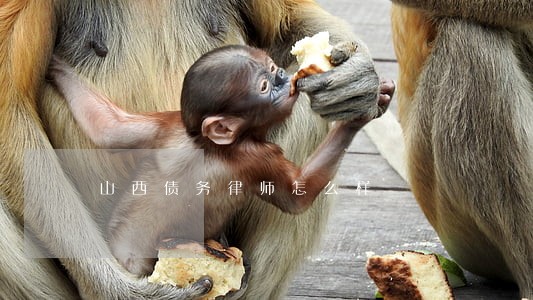 山西债务律师怎么样 山西债务律师怎么样