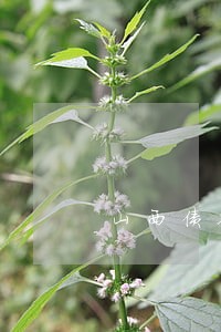 山西债务律师有哪些 山西债务律师有哪些