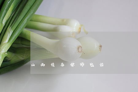 山西债务律师电话 山西债务律师电话