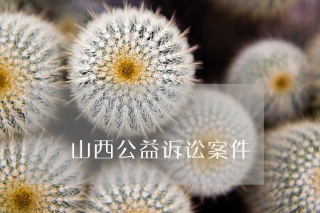 山西公益诉讼案件