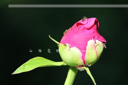山西受贿律师 山西受贿律师