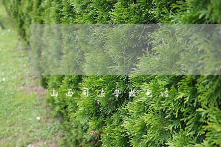 山西司法学校电话 山西司法学校电话