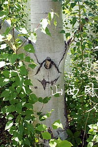 山西司法学校空乘方向