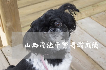 山西司法干警考试成绩 山西司法干警考试成绩