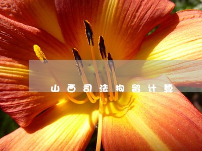 山西司法拘留计算