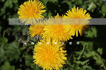山西合同纠纷律师 山西合同纠纷律师