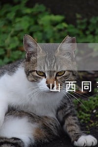 山西同药集团有限公司违法