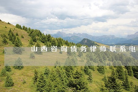 山西咨询债务律师联系电话 山西咨询债务律师联系电话