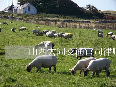 山西大同交通官司律师免费咨询