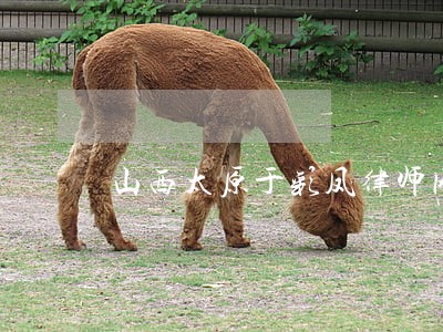 山西太原于彩凤律师网 山西太原于彩凤律师网