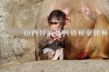 山西好的债务债权案律师 山西好的债务债权案律师