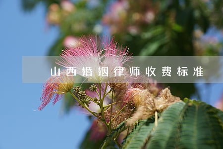 山西婚姻律师收费标准