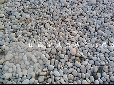 山西宁武杀法院官员案