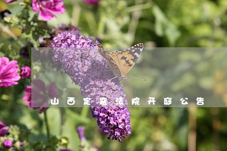 山西定襄法院开庭公告 山西定襄法院开庭公告