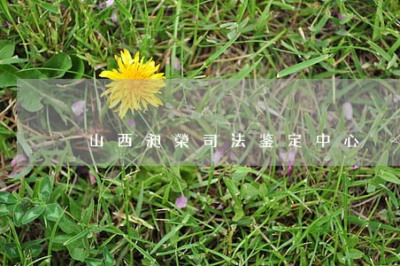 山西昶榮司法鉴定中心