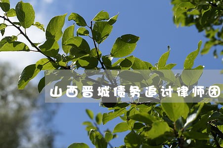 山西晋城债务追讨律师团队 山西晋城债务追讨律师团队