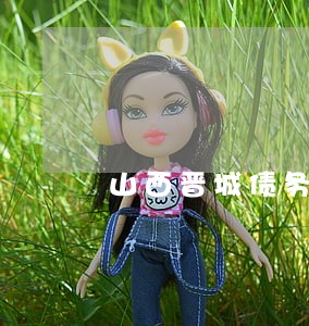 山西晋城债务追讨律师联系方式 山西晋城债务追讨律师联系方式