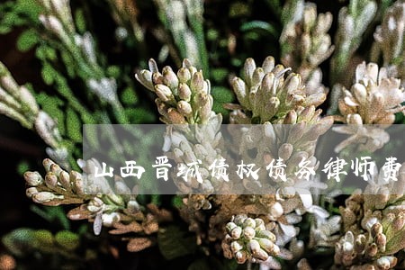 山西晋城债权债务律师费怎么算 山西晋城债权债务律师费怎么算
