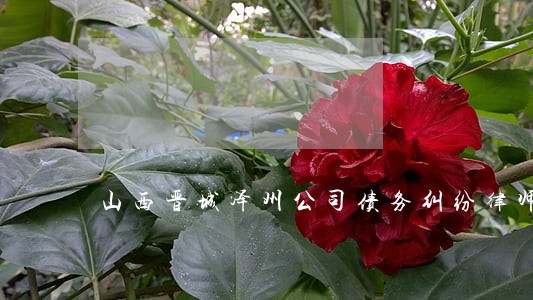 山西晋城泽州公司债务纠纷律师 山西晋城泽州公司债务纠纷律师