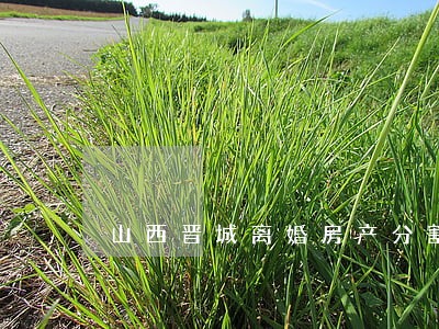 山西晋城离婚房产分割律师