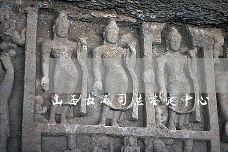 山西权威司法鉴定中心 山西权威司法鉴定中心