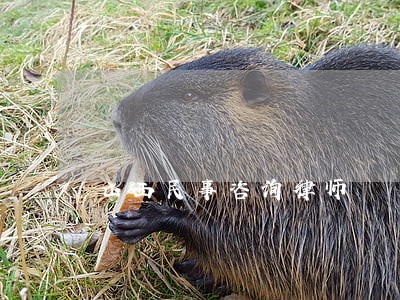 山西民事咨询律师 山西民事咨询律师