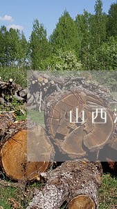 山西法律咨询哪里好 山西法律咨询哪里好