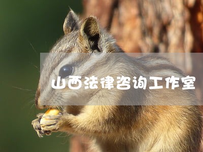 山西法律咨询工作室 山西法律咨询工作室