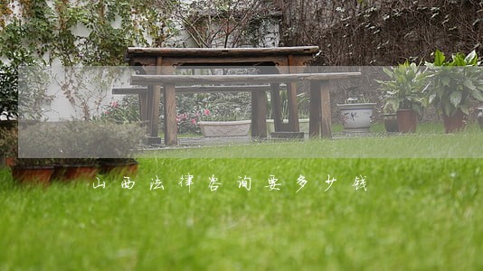 山西法律咨询要多少钱 山西法律咨询要多少钱
