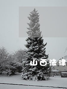 山西法律服务网 山西法律服务网
