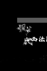山西法院信息化建设经验
