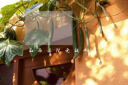 山西法院党组成员名单 山西法院党组成员名单