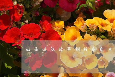 山西法院改革创新奋发有为大讨论