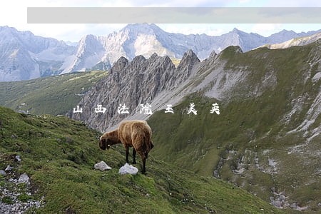 山西法院王美英 山西法院王美英