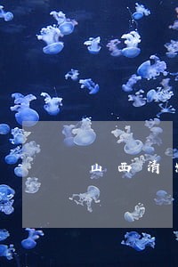 山西清耀法律咨询 山西清耀法律咨询