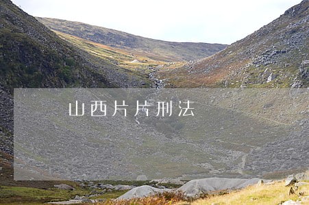 山西片片刑法 山西片片刑法